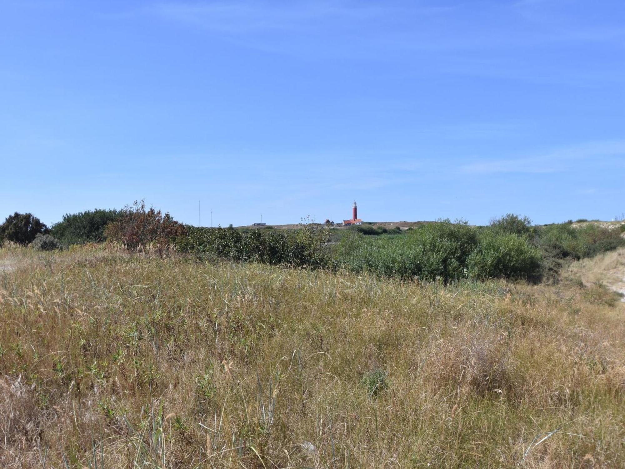 Great Holiday Home Energy Neutral On Texel With Sauna And Sun Shower Westermient Экстерьер фото
